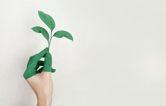 sustainable eco friendly environment friendly safe toys clothing for kids