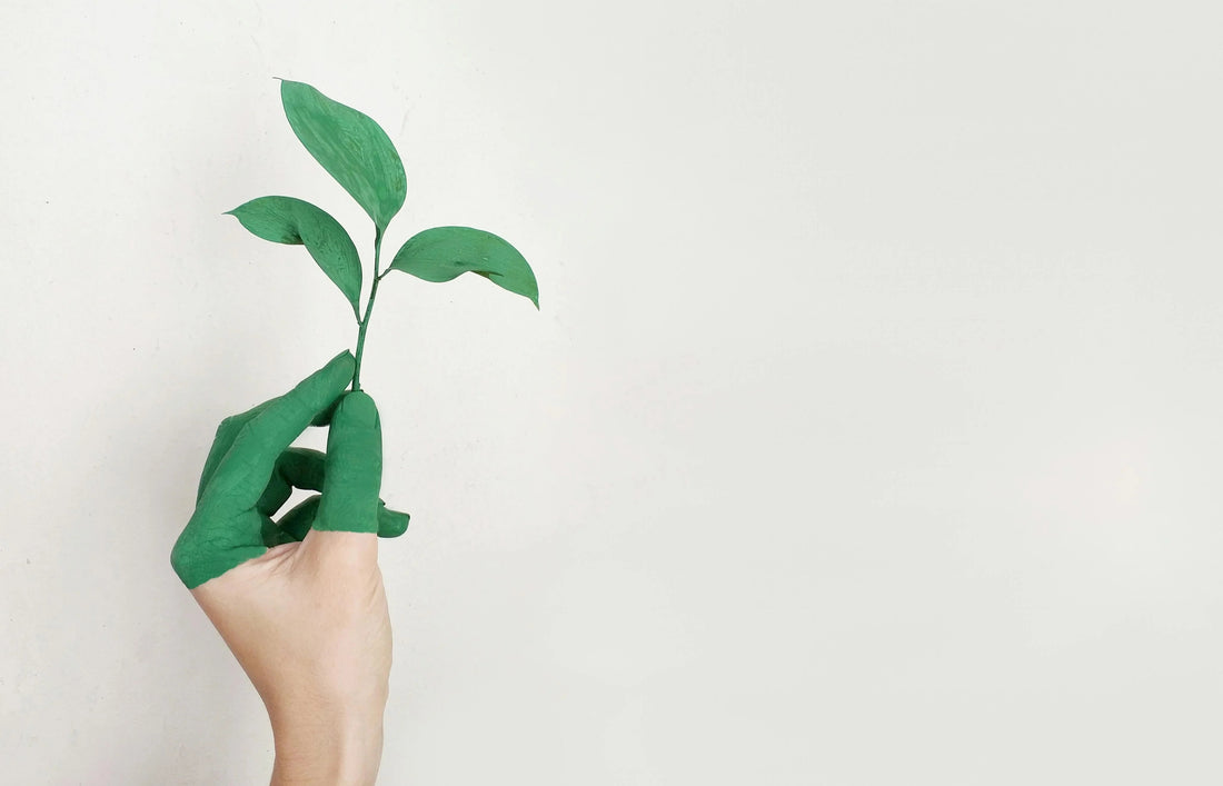 Hand with green-painted fingers holding a small leafy plant on a plain background, symbolizing sustainability and eco-friendly lifestyle.