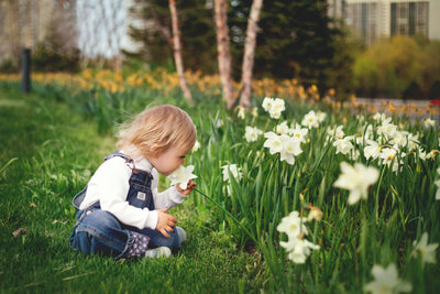 Toddler in denim overalls smelling white flowers in a grassy garden, outdoor spring scene