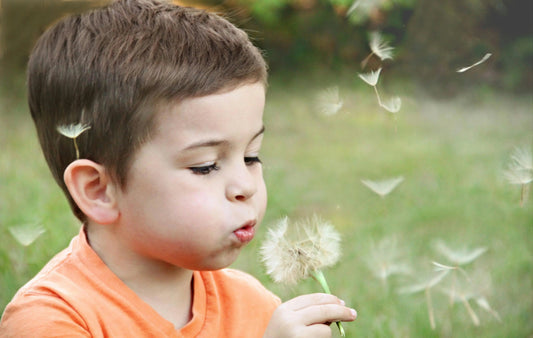 Child in orange shirt blowing dandelion seeds outdoors, natural play and learning