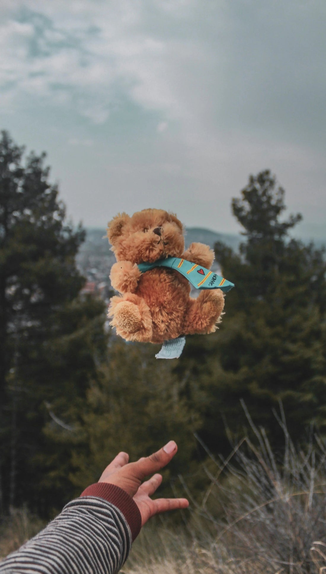 Brown plush teddy bear with blue scarf tossed outdoors above a hand, forest background
