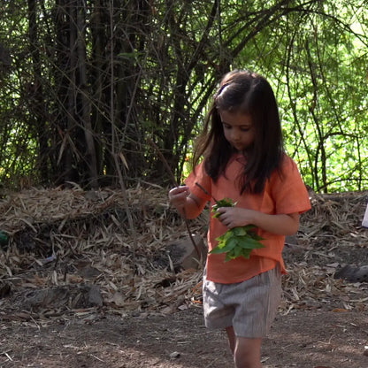 Sunbeam girls kurti top and shorts outfit designed for playful movement and comfort